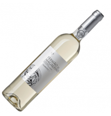 Fernao de Magalhaes Branco T