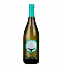 Conceito Sauvignon Blanc...