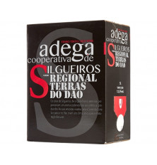 Silgueiros Bbox Tinto 5L