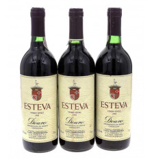 Esteva Tinto 1991