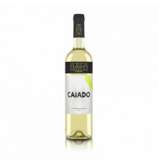 Adega Mayor Caiado Branco...